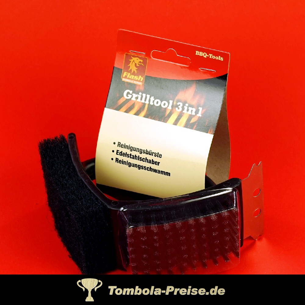 Grill-Reinigungs-Set