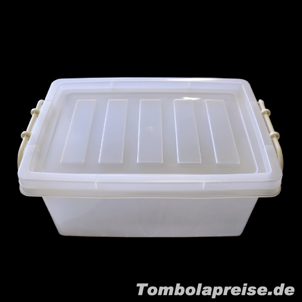 Tombolapreis Aufbewahrungsbox