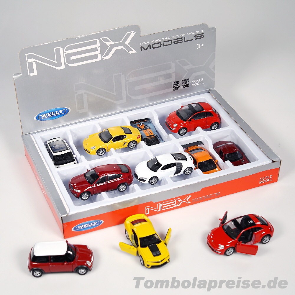 Tombolapreis Automodelle