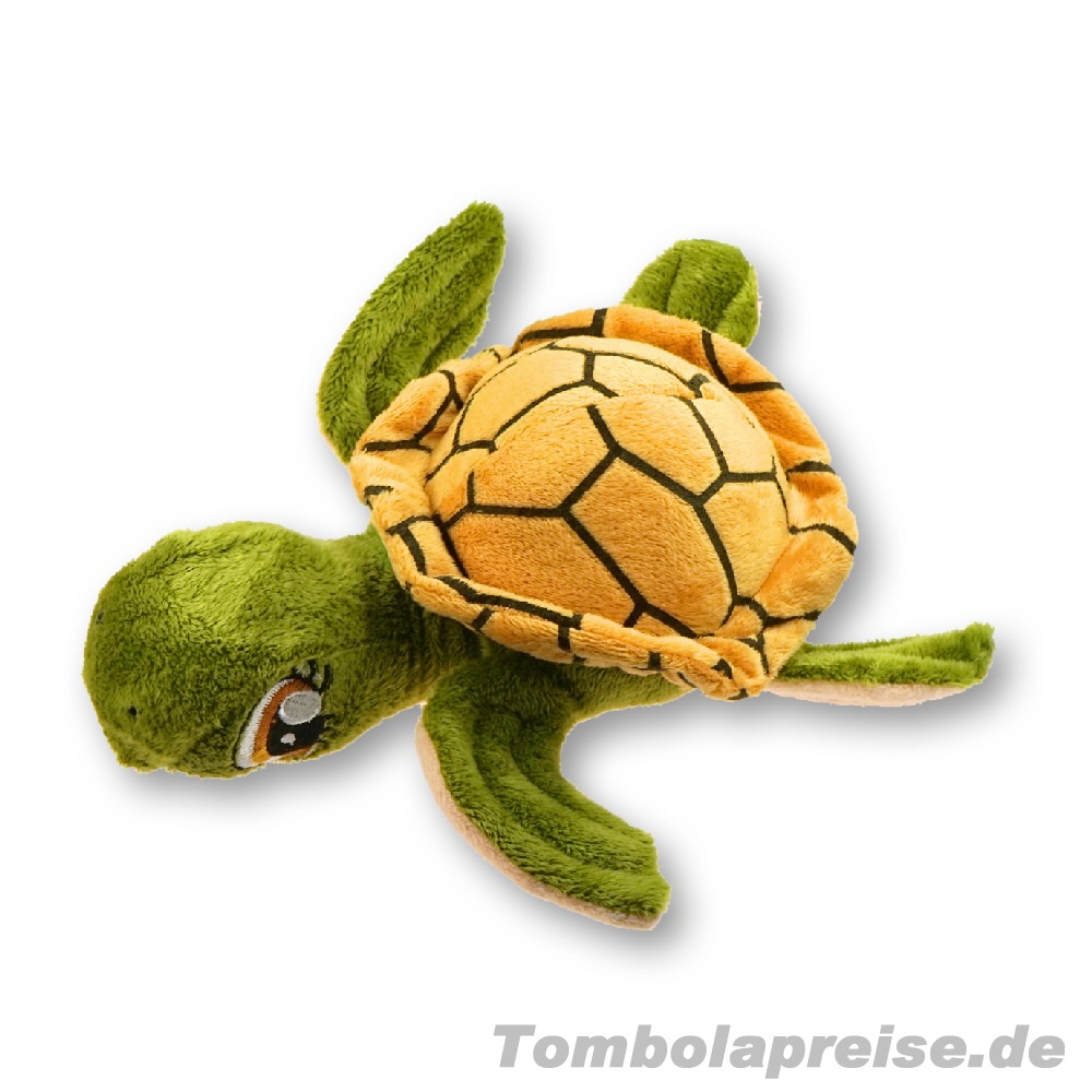 Tombolapreis Baby-Schildkr&ouml;te aus Pl&uuml;sch
