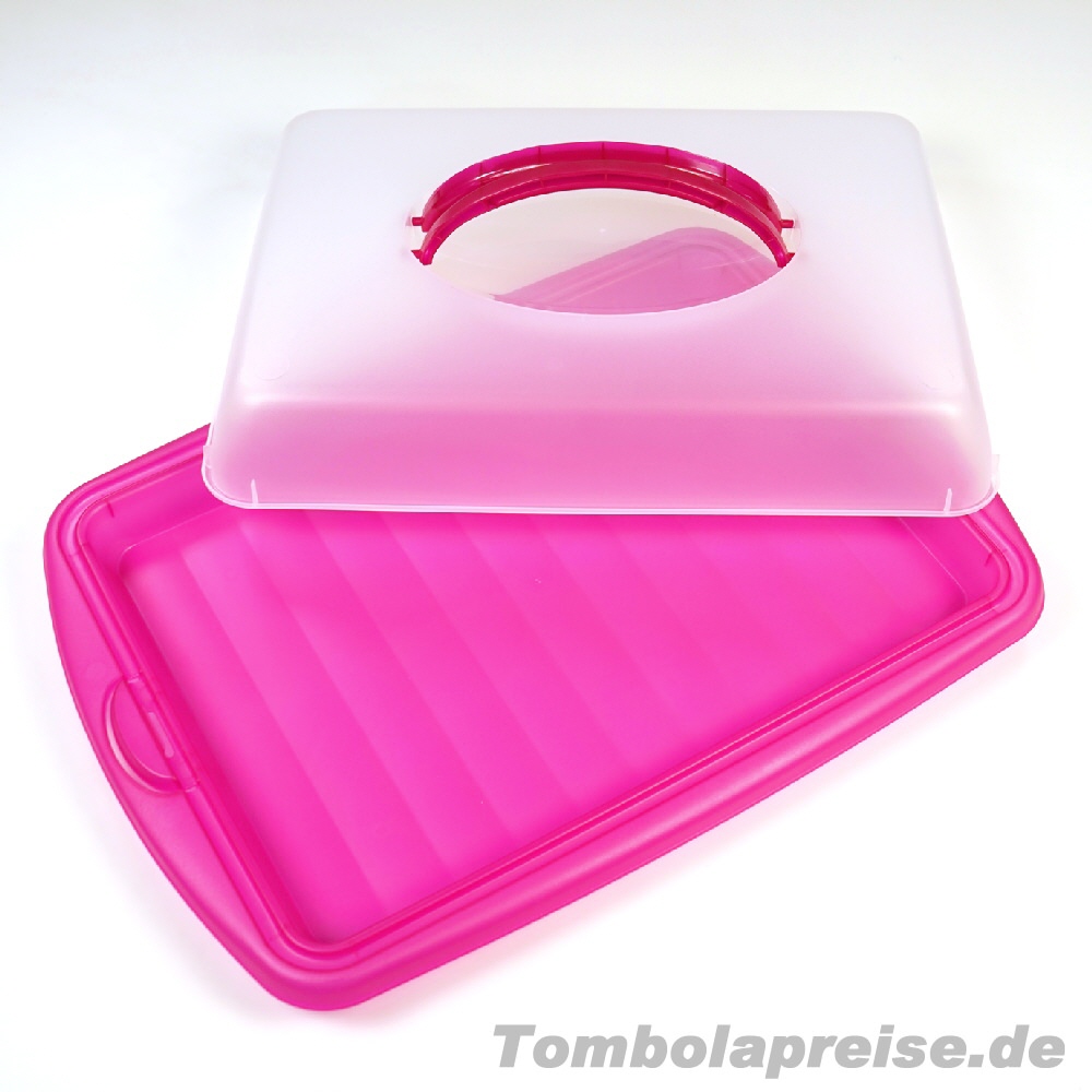 Tombolapreis Blechkuchenbeh&auml;lter