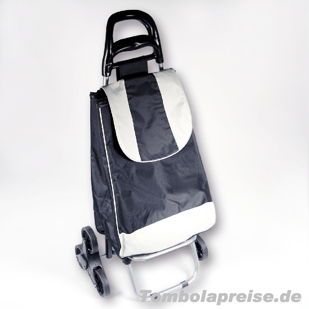 Tombolapreis Einkaufswagen