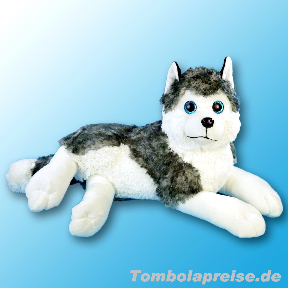 Tombolapreis Pl&uuml;sch-Husky liegend 45 cm
