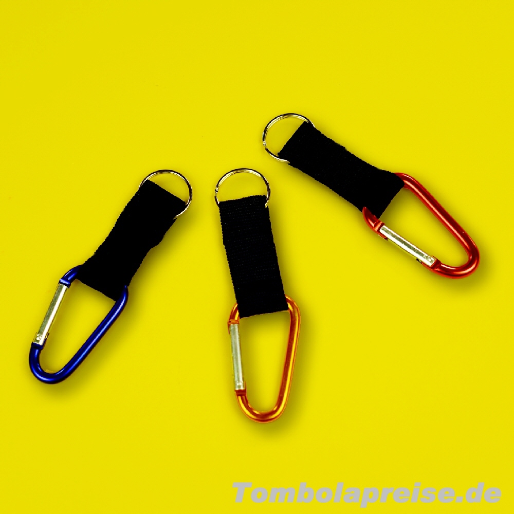 Tombolapreis Schl&uuml;sselanh&auml;nger Karabinerhaken