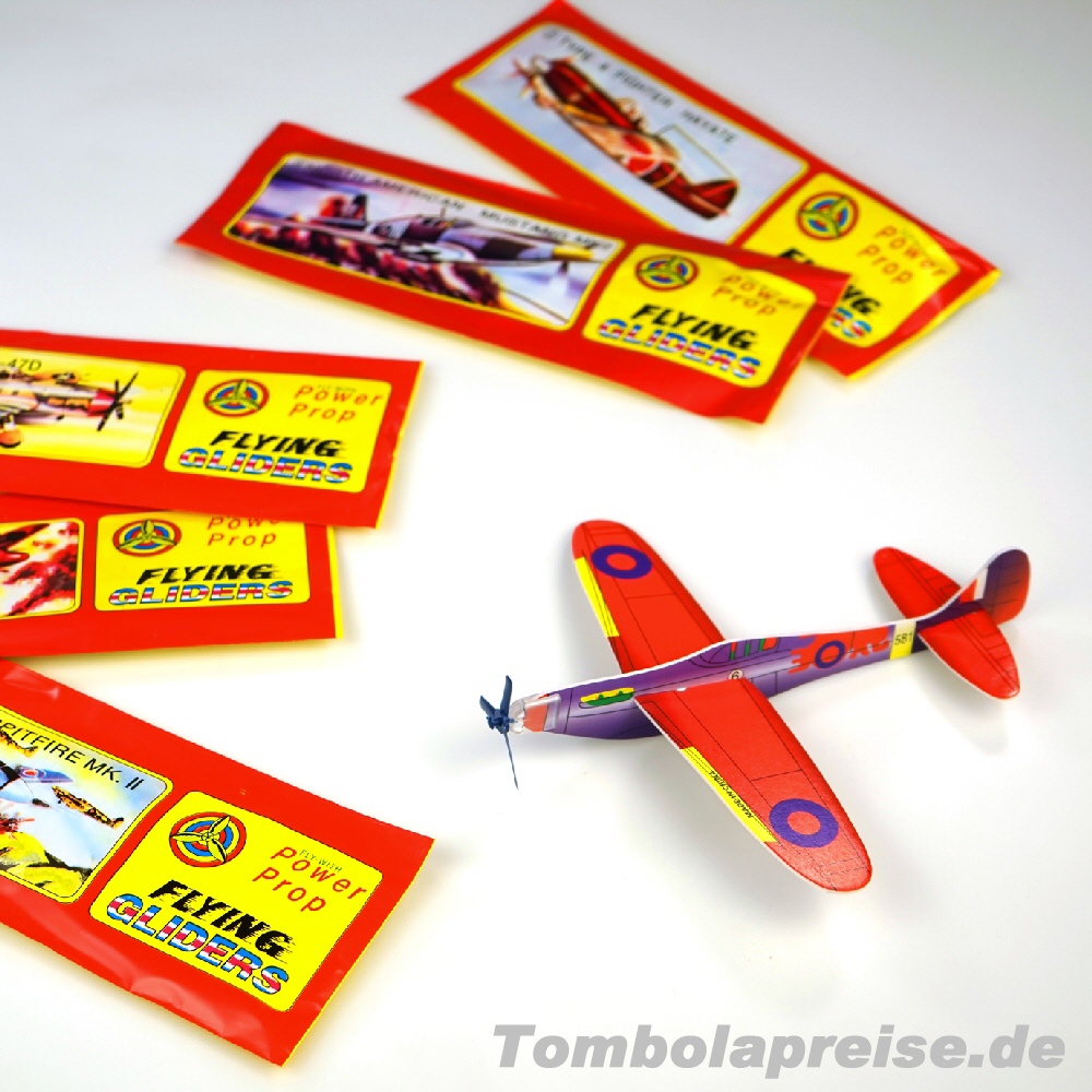 Tombolapreis Flugzeug-Styropor-Flieger