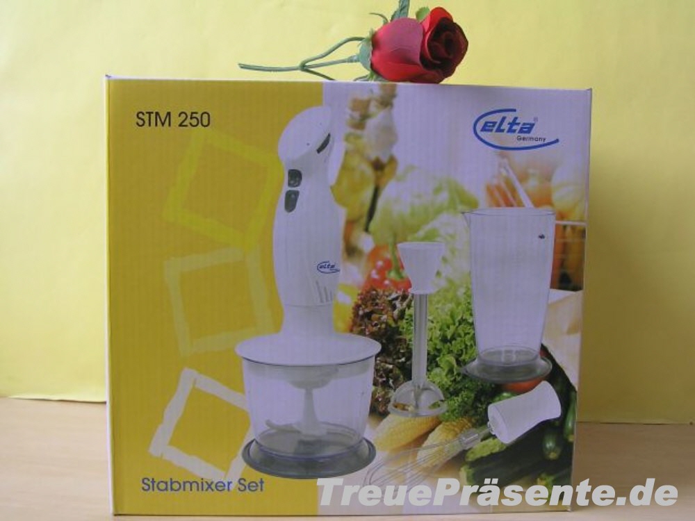 Stabmixer